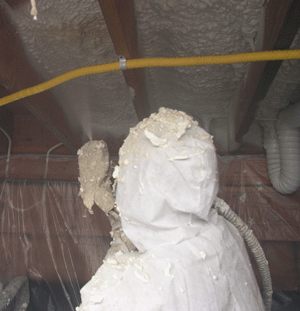  HI crawl space insulation